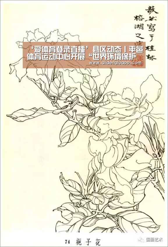 ‘爱体育登录直播’县区动态丨平邑体育运动中心开展“世界环境保护日”宣传活动(图4) 爱体育登录