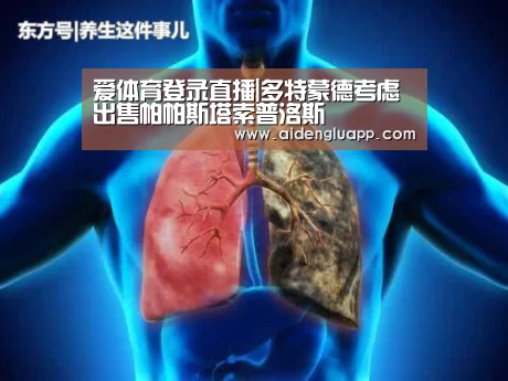 爱体育登录直播|多特蒙德考虑出售帕帕斯塔索普洛斯(图1) 爱体育登录官网