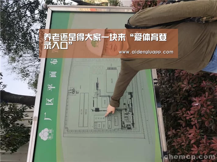 养老还是得大家一块来“爱体育登录入口”(图1) 爱体育登录官网
